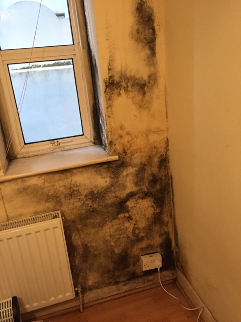 Mouldy Wall