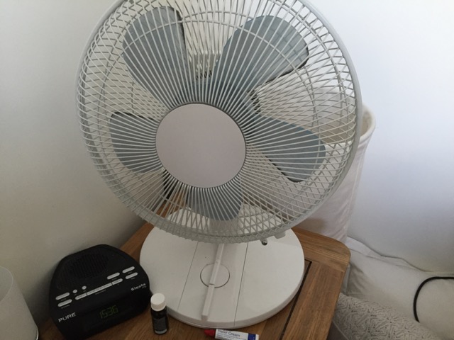 The fan