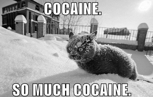 Coke Cat