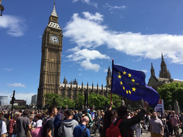 EU at Westminster