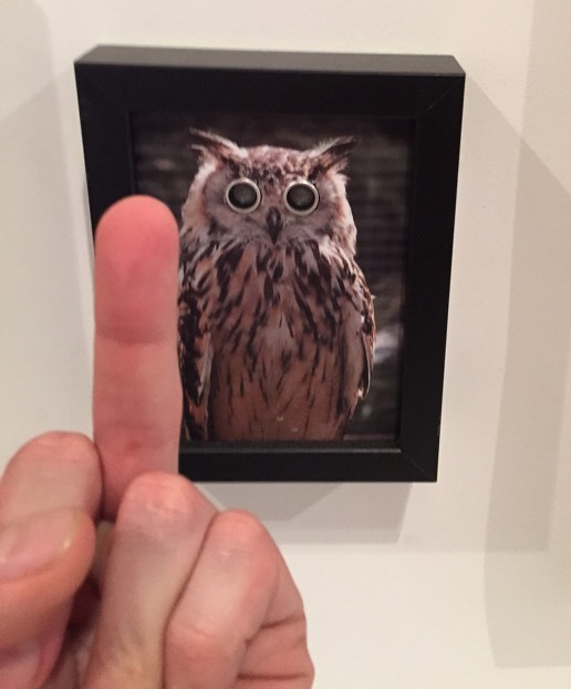 Surveillance Owl