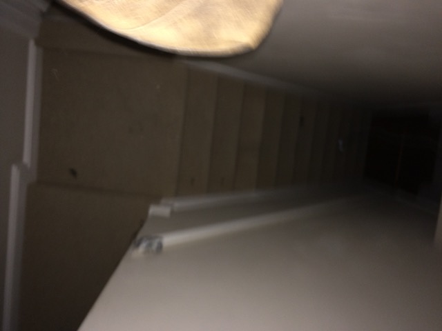 Attic Attack