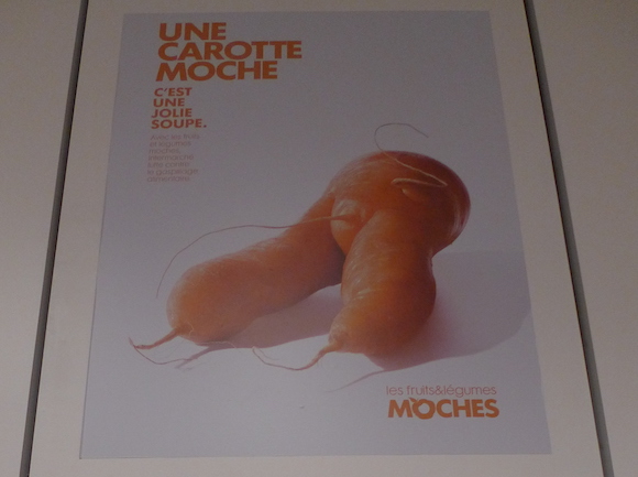 Moche Moche