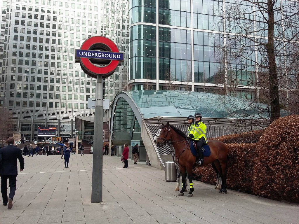 Police horse