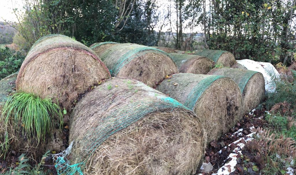 Hay bales