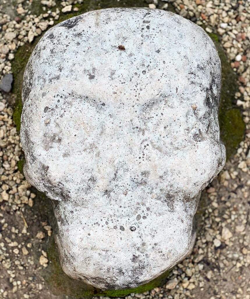 Skull