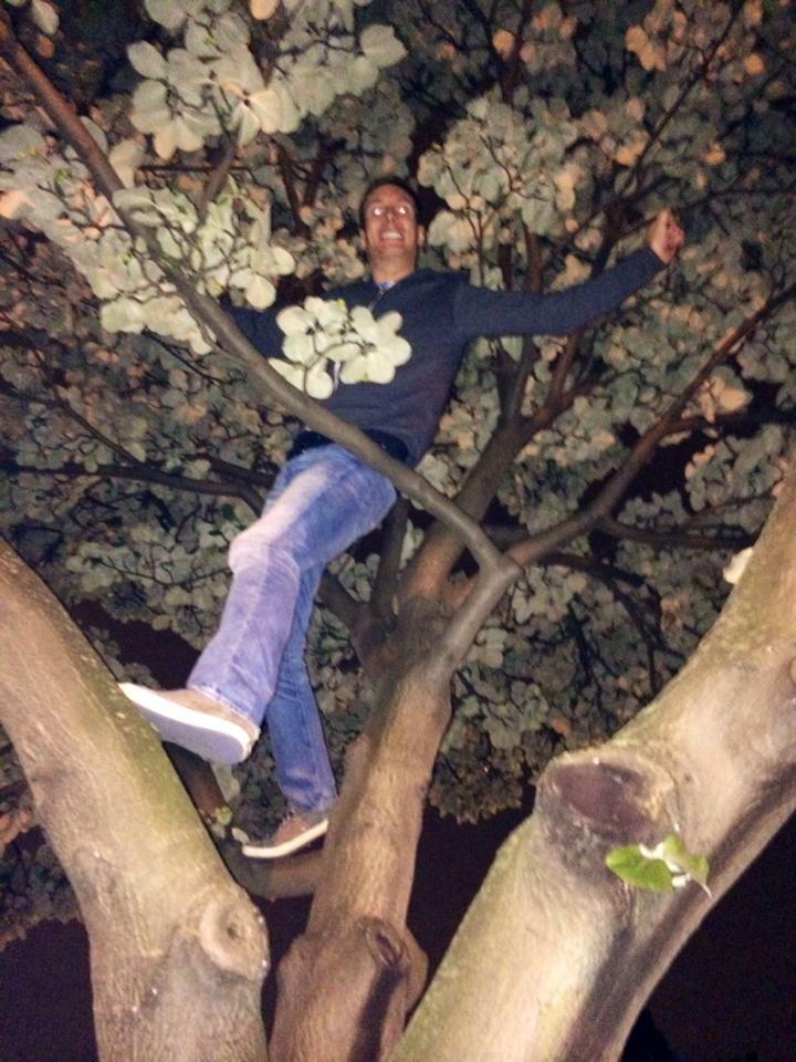 Man in a tree