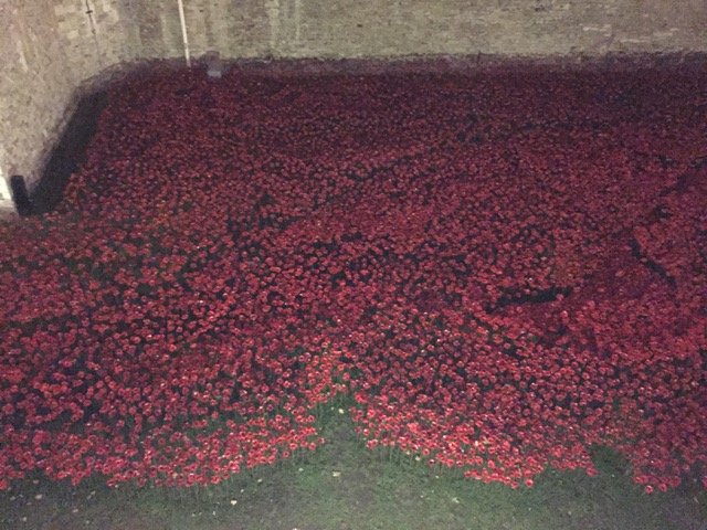 Blood Poppies